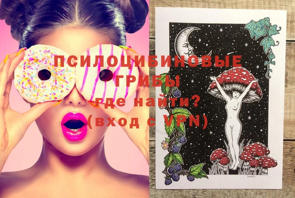 прущие грибы Липки