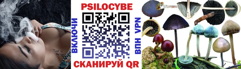 купить наркотики цена Кимовск Галлюциногенные грибы Psilocybe