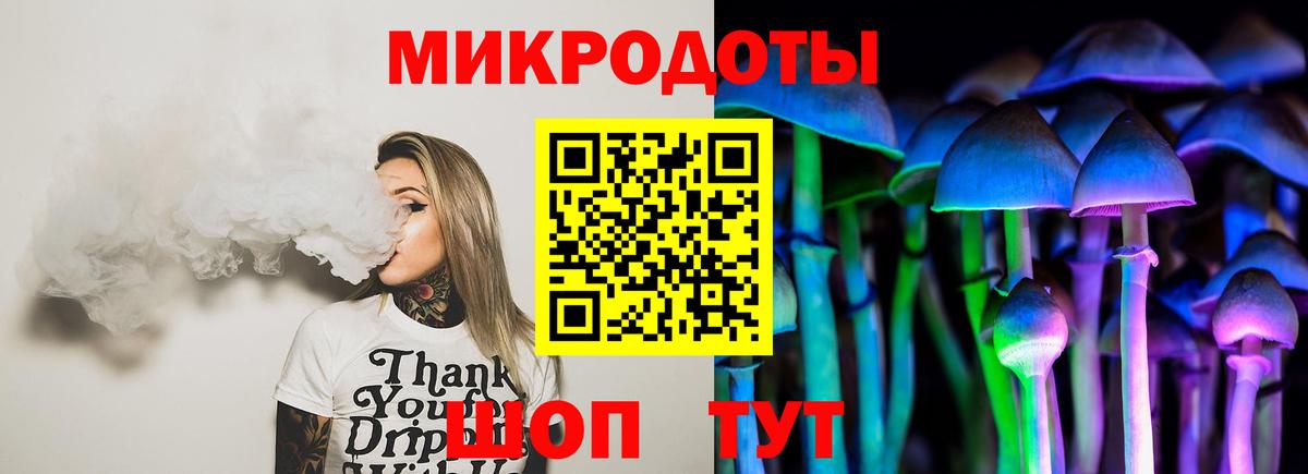 где продают   Кимовск  Псилоцибиновые грибы Psilocybe 