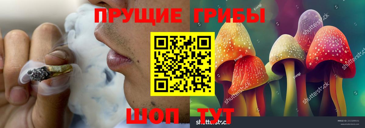 Псилоцибиновые грибы MAGIC MUSHROOMS Кимовск