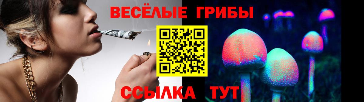 Кимовск  Псилоцибиновые грибы ЛСД  Вход с VPN  Галлюциногенные грибы GOLDEN TEACHER 